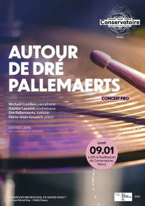Autour de Dré Pallemaerts